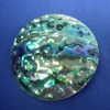 /product-detail/natural-green-abalone-shell-coin-blanks-for-inlay-211808288.html