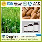 1000mg Weight Loss Psyllium Husk Hard Essence Capsule