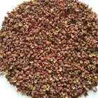China origin Food spice Laiwu Sichuan pepper Zanthoxylum bungeanum Maxim for sale
