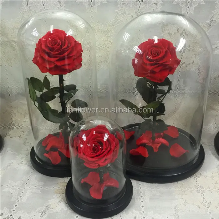 2018 Desain Baru Pernikahan Acara Bunga Everlasting Rose Dalam Kaca Grosir Buy Everlasting Rose Dalam Kaca Grosir 2018 Desain Baru Everlasting Rose Dalam Kaca Grosir Acara Pernikahan Bunga Everlasting Rose Dalam Kaca Grosir