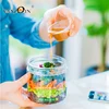 BPA-free PET Plastic 16oz Jars Great for Food & Fruit Salad Packaging