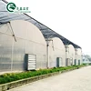 /product-detail/industrial-uv-plastic-greenhouse-philippines-with-ebb-flow-table-60737530565.html