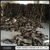 Wholesale Dyed Whole Skin Racoon Fur Skin /Racoon Dog Fur Plate/Raw Racoon Fur Material