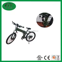 Brushless Motor And 36V 300W Powerful