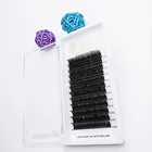 Wholesale Fast Blooming Self Fanned Private Label Eyelash Extensions