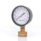 Special Pressure Gauge KARA Water Test Pressure KA-106