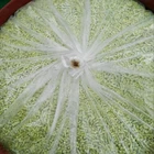 Hot sale flotation collector chemical potassium amyl xanthate