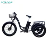 /product-detail/2019-new-arrival-48v-750w-long-range-fat-tire-pedal-assist-electric-tricycle-for-hunting-62144961870.html
