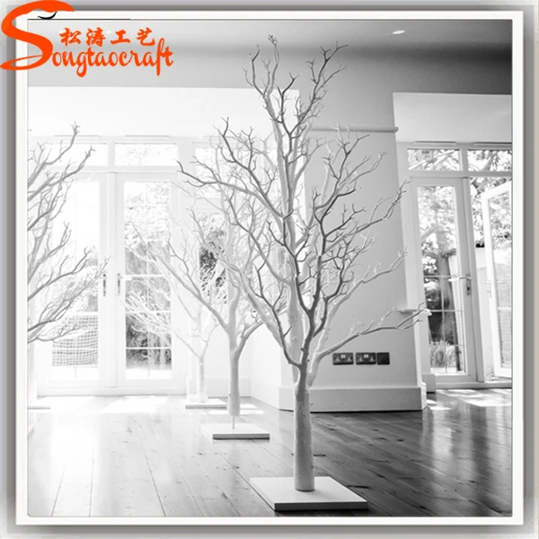 Manzanita Tree Dry Tree Branches Of Agriculture Tree Branches For