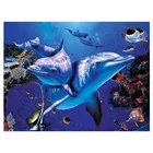 3d cartoon animation natural picture image Supplier 2045