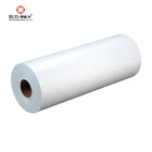 Jumbo Rolls of Thermal Transfer Label Paper