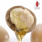 Bulk Pure Cosmetic Organic Pure Argan Oil for Hair and Body