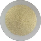 Dehydrated Vegetables (Garlic Granules)