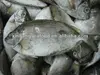 Seafood rabbit fish