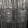 China supplier Goat / Cattle fence / Hog wire mesh fence for sale