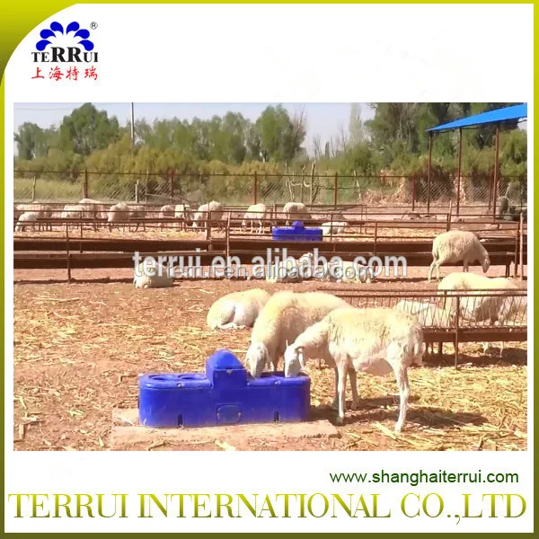 livestock equipment sheep drinking waterers -15years gold supplier