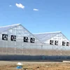 High quality double layer tunnel plastic film greenhouse for tomato vegetable growing