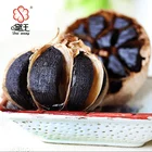 Free sample Chinese whole bulb black garlic in factory price