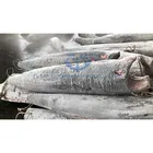 Frozen Fish Superfrozen Black Marlin