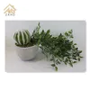 /product-detail/plastic-cactus-complete-collection-of-plastic-various-plastic-artificial-plant-bonsai-62186712194.html