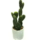Cactus Cactus 2018 Popular Simple Style Faux Mini Potted Plants Artificial Cactus Pots Planter