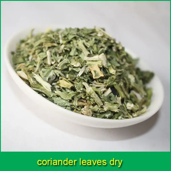 coriander leaves pictures