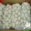 /product-detail/chinese-garlic-price-garlic-supplier-white-garlic-2000190116.html