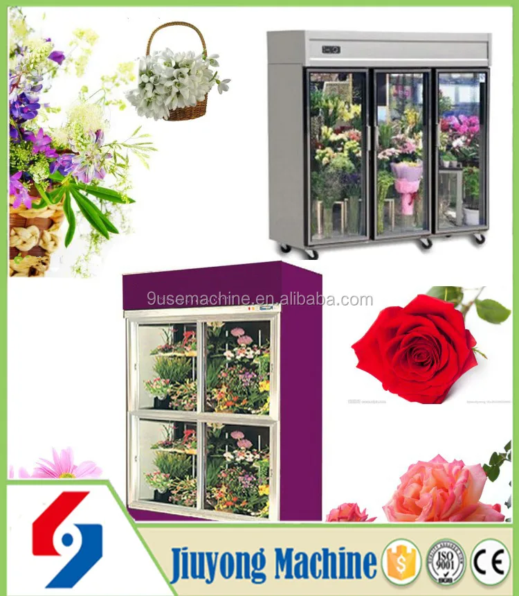 新鮮な花の最新型プロのデザインディスプレイショーケース冷凍機仕入れ・メーカー・工場