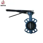 Stainless steel wafer butterfly valve water valve