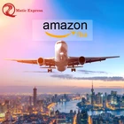 FBA Freight Forwarder Air/Ocean Shipping to Amazon Europe/USA/Australia DDP from China