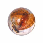 Clear Plexiglass acrylic ball display ball wth insect inside