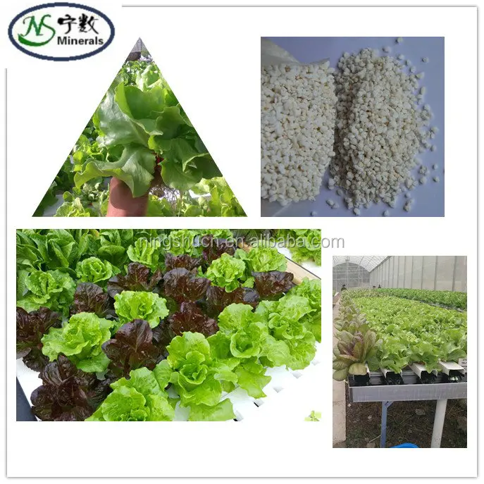 Growing Media Expanded Perlite For Malaysian Agriculture Hydroponics Horticulture