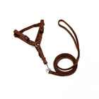 Customize Pattern Retractable Embossing Pet Dog Leash and Harness