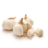 first grade organic garlic in brine from Chinese supplier
