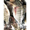 /product-detail/new-fresh-frozen-fish-tilapia-black-tilapia-chinese-wholesaler-60810937357.html
