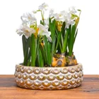 Round Outdoor Glazed Pots Glazed Unique Emboossed Design Round Large Bulk Outdoor Glazed Ceramic Pots For Narcissus