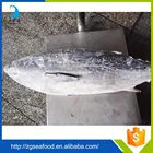 Fish Fish Tuna Fish High Quality Frozen Bonito Skipjack Fish Sale Tuna Fish For Sale