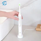 rotary electric sonic wireless toothbrush