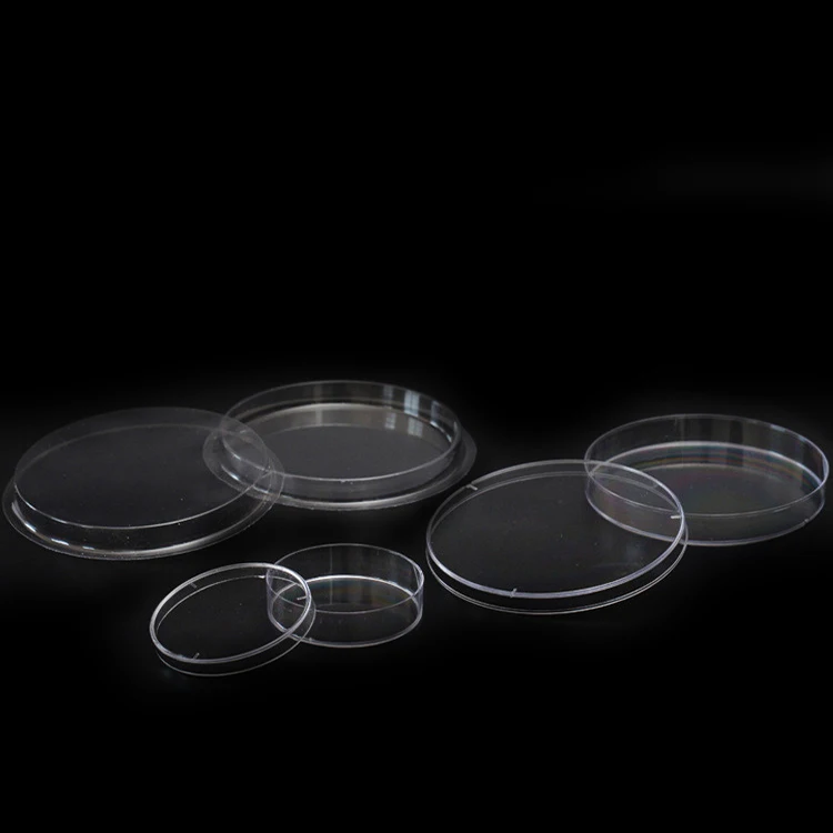 plastic petri dish
