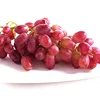 Seedless 24mm~28mm nutrition grapes wholesale