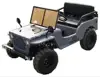 /product-detail/50cc-kids-mini-cars-110cc-go-kart-150cc-mini-jeep-125cc-tkg110-z--60576284647.html