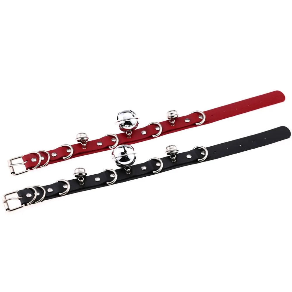 6786666290_1698660574