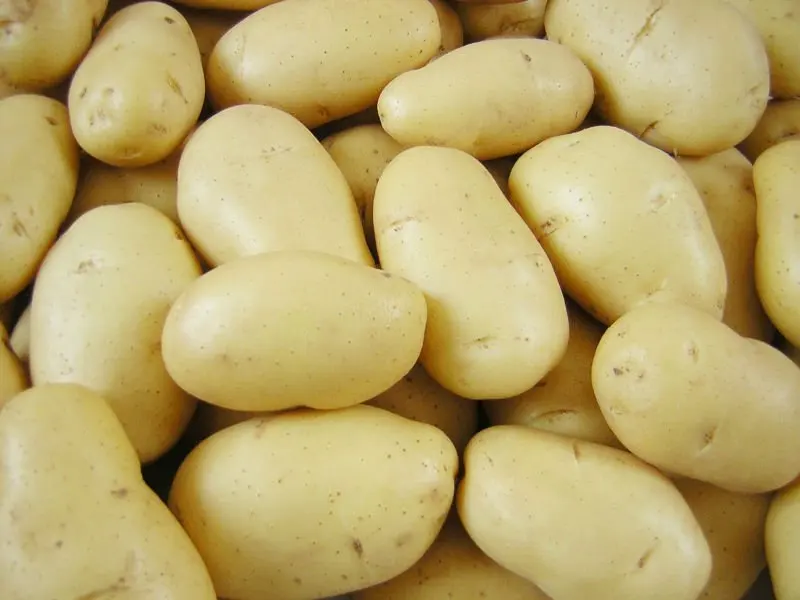 potato.jpg