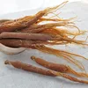 /product-detail/hong-shen-high-quality-red-ginseng-and-fresh-ginseng-root-60545982626.html