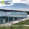 /product-detail/china-cheap-film-cover-multi-span-greenhouse-invernadero-for-agricultural-60797821051.html
