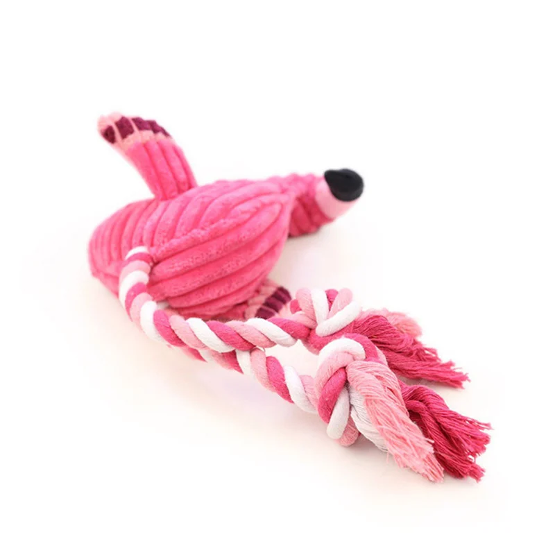 4512837059_120272527