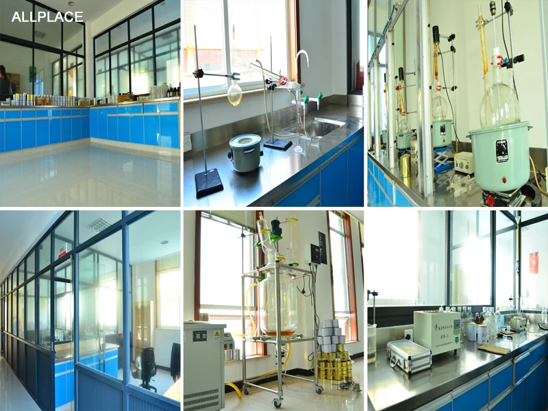Lab