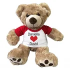 Brand New Plush Custom Teddy Bear For holiday Gifts 25cm 30cm 40cm toy stuffed animal plush factory