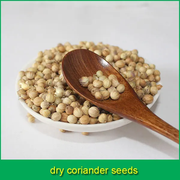 dry coriander seeds