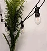 2018 New Clear Plastic G50 Bulb Ball String Light Waterproof IP44 Christmas Single Color Festoon Light with Led Filament